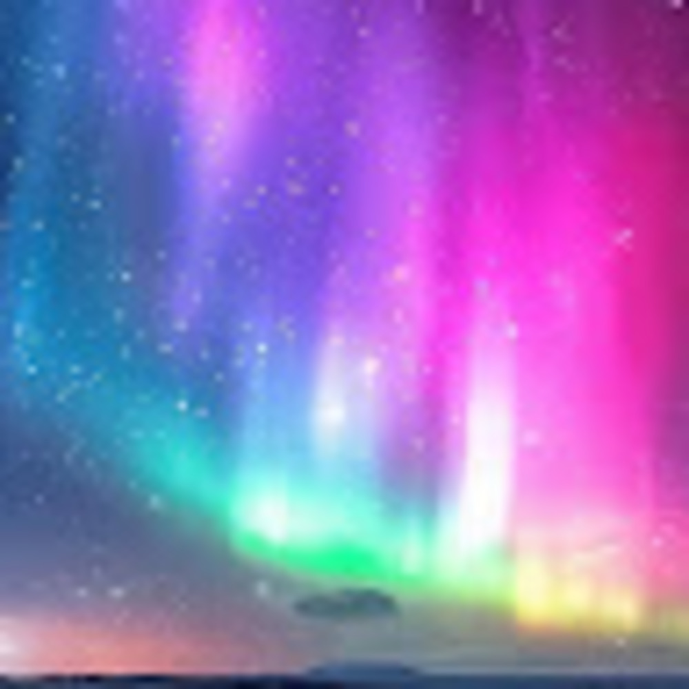 Meet your Posher, Wynter